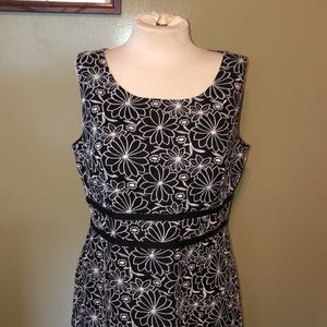 🆕🆕 BNWT TALBOTS PETITE 12P DRESS. stitching on this dress is stunning$229